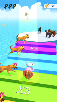 Скачать Cats run 3D Симуляторы для Андроид скриншот 7