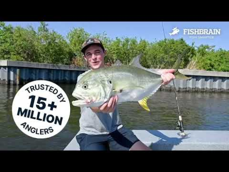 Скачать Fishbrain - Fishing App Спорт для Андроид скриншот 8