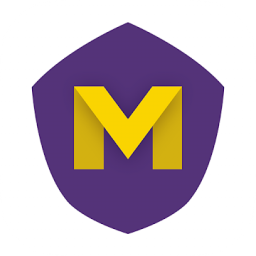 Логотип VPN Monster