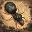 Скачать  The Ants: Underground Kingdom