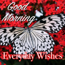 Скачать  Good Morning & Night Greetings