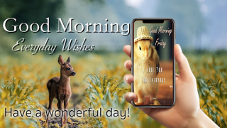 Скачать Good Morning & Night Greetings Развлечения для Андроид скриншот 7
