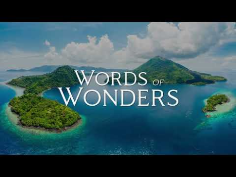 Скачать Words of Wonders: Игра в слова Словесные игры для Андроид
