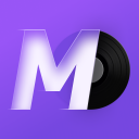 Скачать  MD Vinyl - Music Player Widget