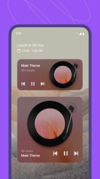 Скачать MD Vinyl - Music Player Widget Музыка и аудио для Андроид скриншот 5