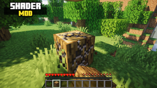 Скачать Realistic Shader Mod Minecraft Развлечения для Андроид скриншот 2
