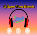 Скачать  DJ Mapopo mbona Syalala Remix