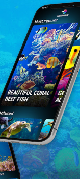Скачать Aquariums TV Фотография для Андроид скриншот 3