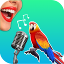 Скачать  Bird Translator Simulator App
