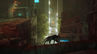 Скачать Stray Cat Simulator Mobile Симуляторы для Андроид скриншот 2