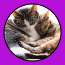 Скачать  Katzen Clicker Training Light