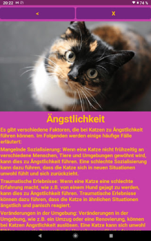 Скачать Katzen Clicker Training Light Жилье и дом для Андроид скриншот 7