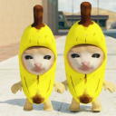 Скачать  Banana Cat