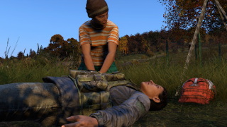 Скачать Dayz Pro Mobile Ролевые для Андроид скриншот 5