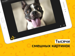 Скачать АйДаПрикол Развлечения для Андроид скриншот 6