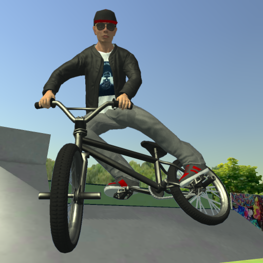 Bmx fe3d