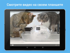 Скачать Мой Мир - Кино. Игры Социальные для Андроид скриншот 6