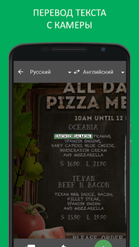 Переводчик и словарь PROMT.One