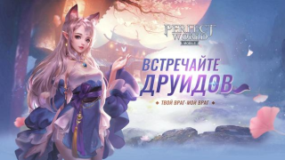 Скачать Perfect World Mobile Ролевые для Андроид