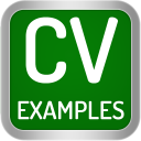 Скачать  CV Examples: PDF CV Templates