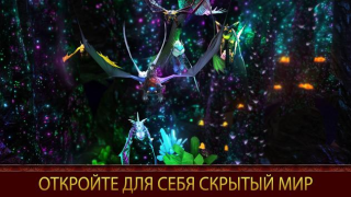 School of Dragons