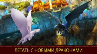 School of Dragons