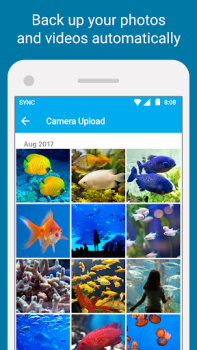 Скачать Sync - Secure cloud storage Работа для Андроид скриншот 3