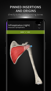 Скачать Anatomyka - 3D анатомия Медицина для Андроид скриншот 4