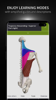 Скачать Anatomyka - 3D анатомия Медицина для Андроид скриншот 6