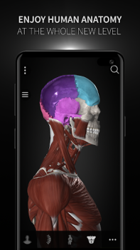 Скачать Anatomyka - 3D анатомия Медицина для Андроид скриншот 7