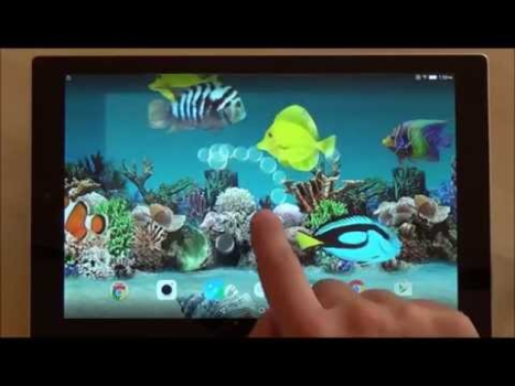 Скачать Коралловые Рыбки 3D Живые Обои Персонализация для Андроид скриншот 8
