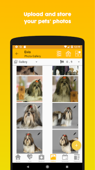Скачать 11Pets: Уход за питомцем Стиль жизни для Андроид скриншот 5