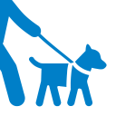 Скачать  Dog Walk