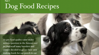 Скачать Dog Food Recipes - Homemade Do Еда и напитки для Андроид скриншот 4