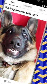 Скачать 9GAG: Funny GIF, Meme & Video Развлечения для Андроид скриншот 2
