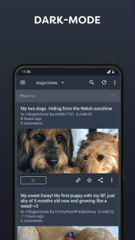 Скачать BaconReader for Reddit Новости и журналы для Андроид скриншот 2