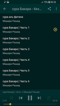 Скачать Сура Бакара без интернета Мишари Рашид Стиль жизни для Андроид скриншот 2