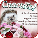Скачать  Открытки и Картинки Спасибо и Благодарю