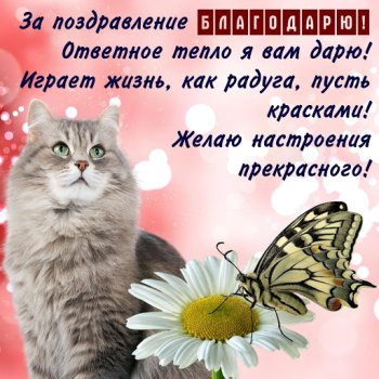 Скачать Открытки и Картинки Спасибо и Благодарю Развлечения для Андроид скриншот 5