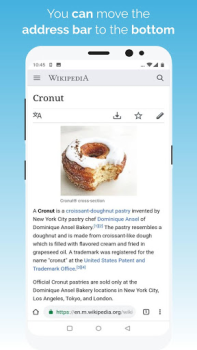 Скачать Kiwi Browser - Fast & Quiet Связь для Андроид скриншот 4
