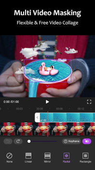 Motion Ninja Video Editor