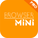 Скачать  Browser Mini Pro