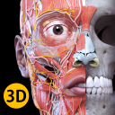 Скачать  Анатомия - 3D Атлас
