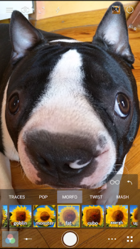 Скачать Cameringo Lite. Камера Фильтры Фотография для Андроид скриншот 7