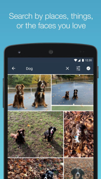 Скачать Amazon Photos Фотография для Андроид скриншот 4