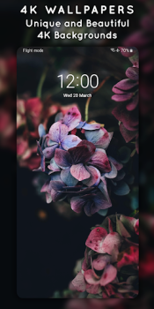 Скачать 4K Wallpapers, Auto Changer Персонализация для Андроид скриншот 4