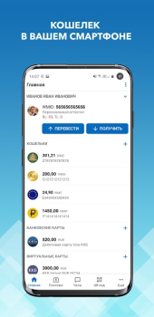 WebMoney Keeper