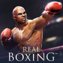 Скачать  Real Boxing