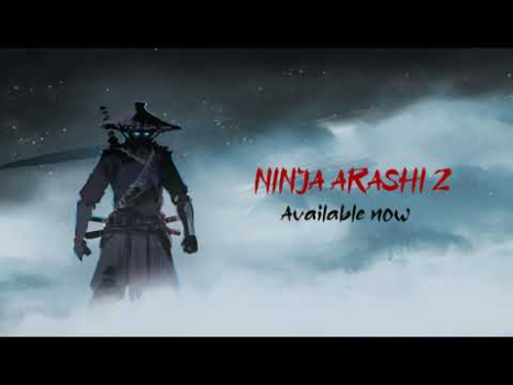 Ninja Arashi 2