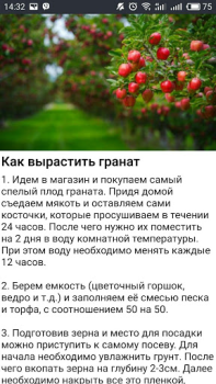 Скачать Дача и огород Хитрости Советы Книги и справочники для Андроид скриншот 3
